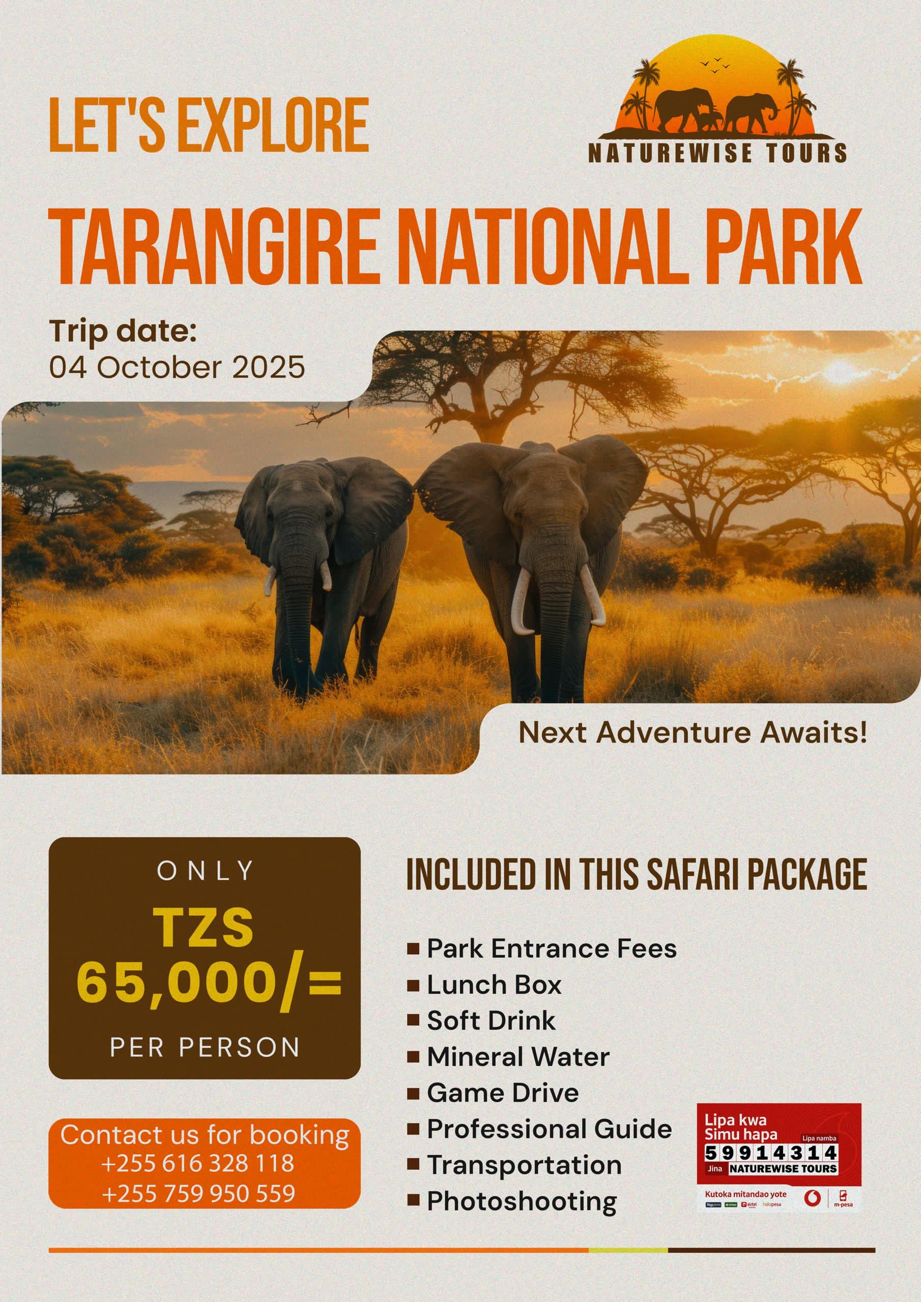 Tarangire Elephants