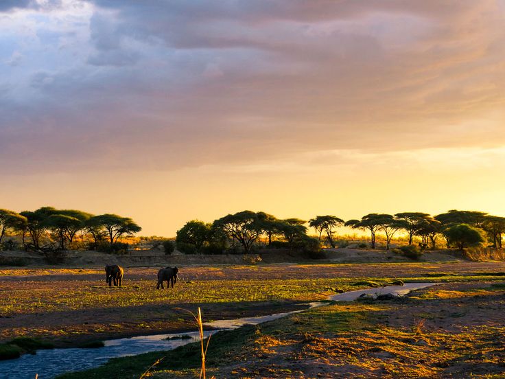 Ruaha National Park