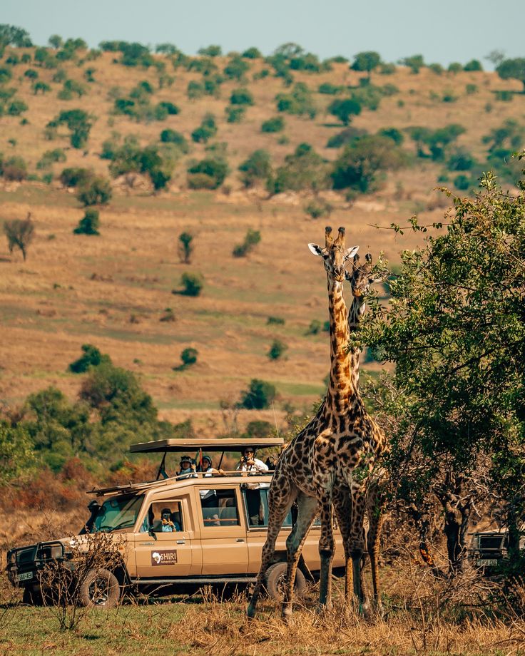 Serengeti National Park